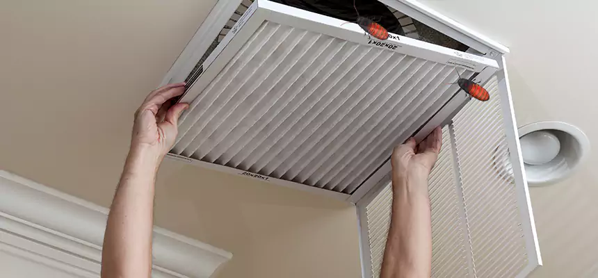 Preventive Cockroach-Proofing for Ducts in Fort Walton Beach