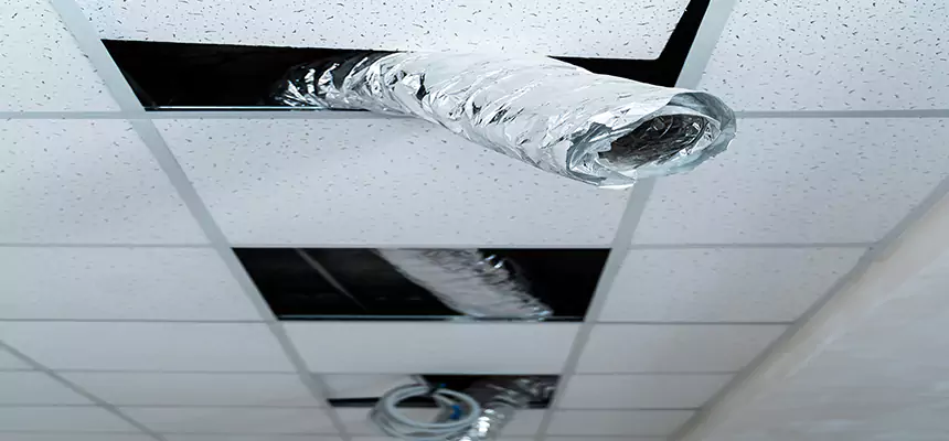 Affordable HVAC Sanitizing After Pest Removal in Fort Walton Beach