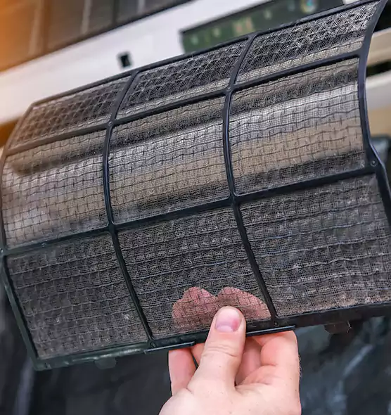About Pet Dander Duct Cleaning in Fort Walton Beach, FL